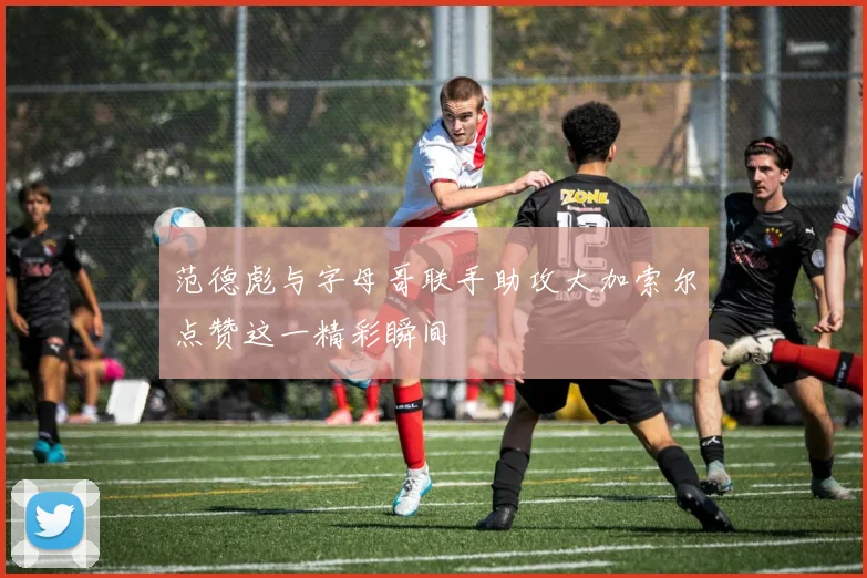 范德彪与字母哥联手助攻大加索尔点赞这一精彩瞬间