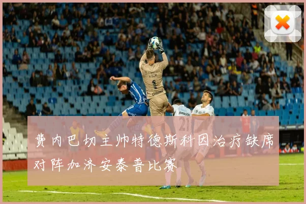 费内巴切主帅特德斯科因治疗缺席对阵加济安泰普比赛