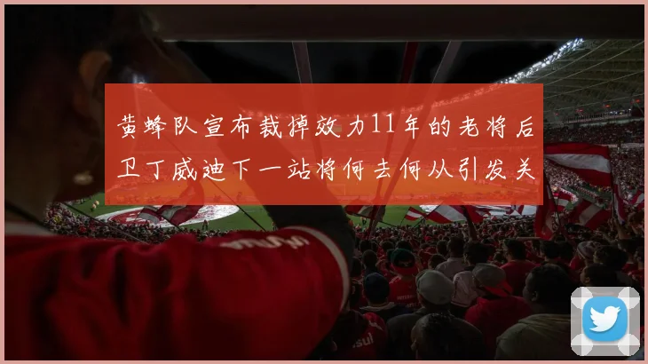 黄蜂队宣布裁掉效力11年的老将后卫丁威迪下一站将何去何从引发关注