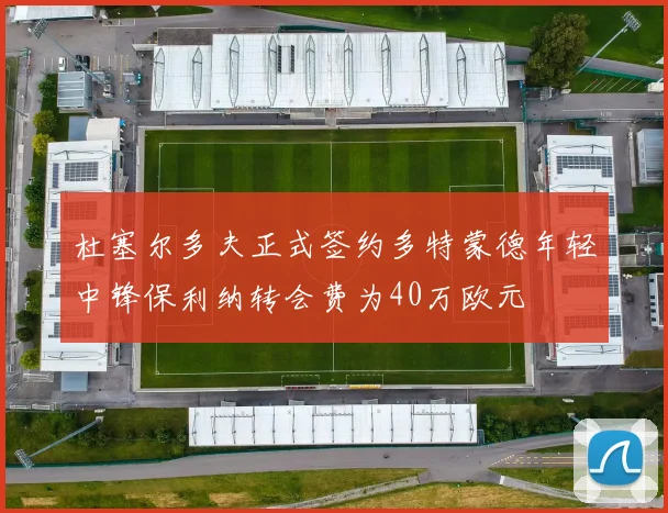杜塞尔多夫正式签约多特蒙德年轻中锋保利纳转会费为40万欧元