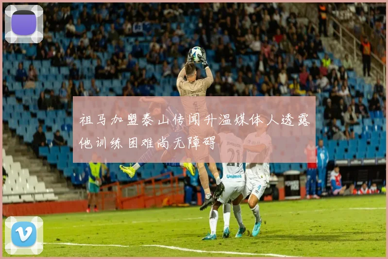 祖马加盟泰山传闻升温媒体人透露他训练困难尚无障碍